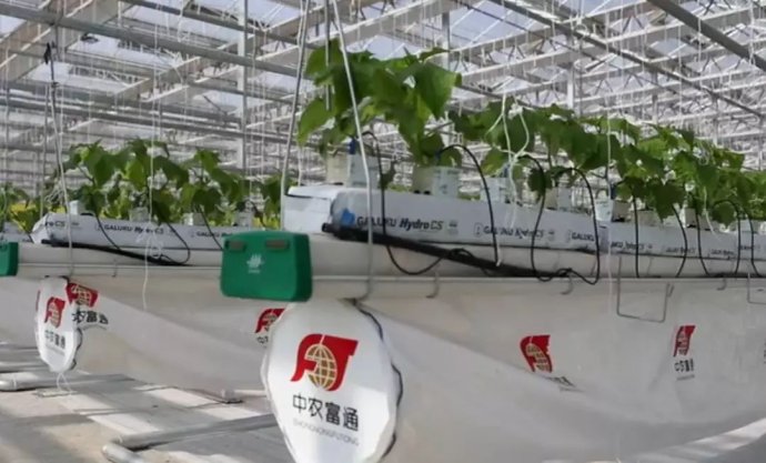 腾讯农业“黑科技”一出手就获国际大奖！AI+农业，正在改变中国农业