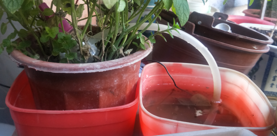 如何利用阿里物联网做一个会自动浇水的花盆
