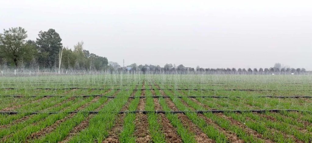 什么是农业水肥一体化？
